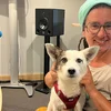 Laurence Duhr: Wäibau, Psychologie a Clownereien