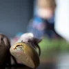 Nei Etüd vum Statec: All véiert Kand zu Lëtzebuerg ass dem Aarmutsrisiko ausgesat | © picture alliance / photothek | Ute Grabowsky