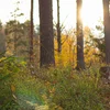 Kënne mir de Wiessel vun Dag op Nuecht héieren? | © Unsplash / _K8_