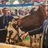 Emmanuel Macron um Salon de l’agriculture | © picture alliance / NurPhoto | Stephane Rouppert Baueren a Frankräich bleiwe skeptesch | © picture alliance / NurPhoto | Stephane Rouppert