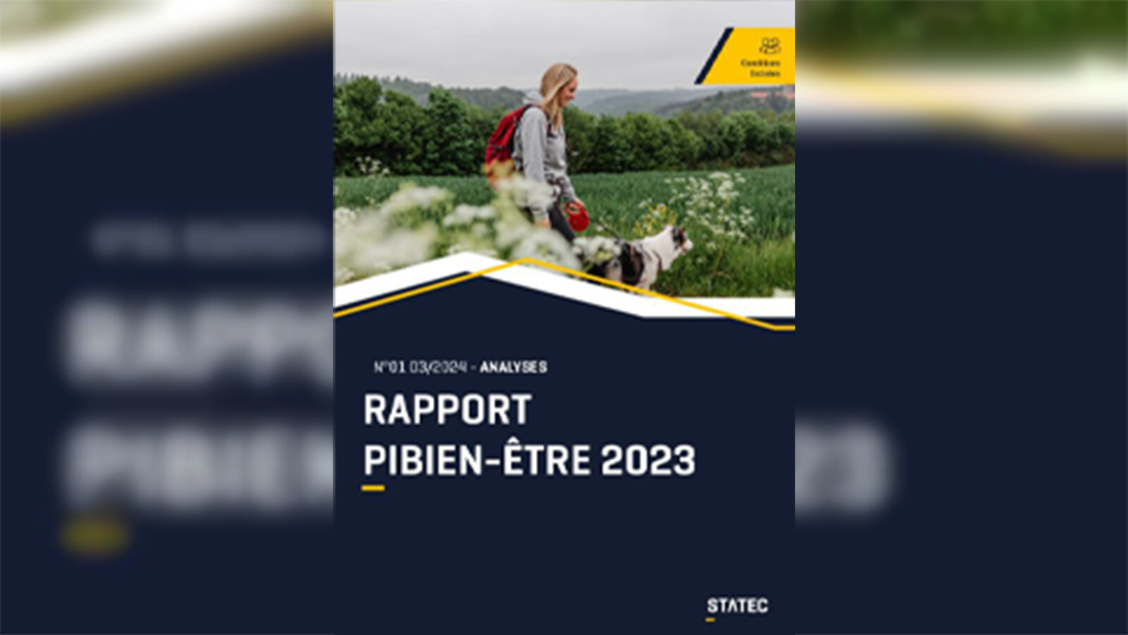 Projet PIBien-être: dee véierte STATEC-Rapport läit vir
