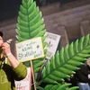 Cannabis Däitschland | © picture alliance/dpa | Sebastian Gollnow Cannabis-Legaliséierung bei eisen däitschen Noperen | © picture alliance/dpa | Sebastian Gollnow