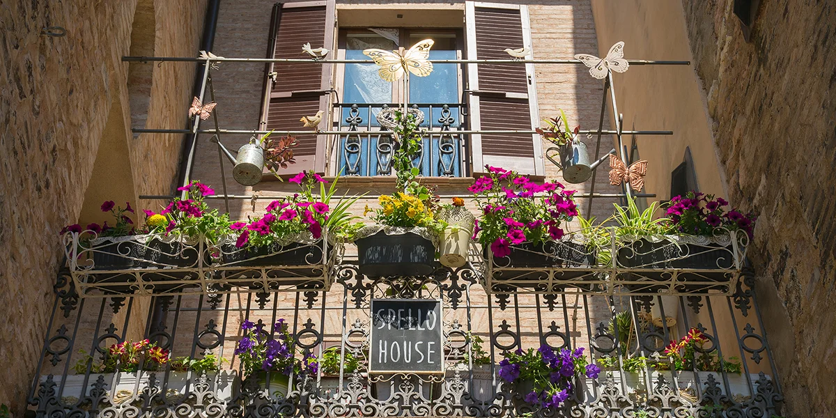 Eng gréng Terrass oder Balcon, déi och Insekte-frëndlech ass
