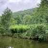 E Fëschweier op der Zowaasch | © Maurice Molitor