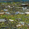 Ëmgang mat Plastikgranulat méi streng regléiert  | ©  picture alliance / Martin Grimm | Martin Grimm