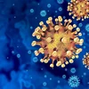 Symbolfoto Virus | © Bigstock Wéi geféierlech ass deen neie Camp-Hill-Virus? | © Bigstock