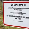 Afrikanesch Schwéngspescht