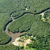 Fir COP30 a Brasilien: Dausenden Hektar Reebësch gefält, fir eng véierspuereg Autobunn  | © picture alliance/dpa | Jens Büttner