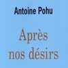 Buchkritik: Antoine Pohu - "Après nos désirs" (Capybarabooks)