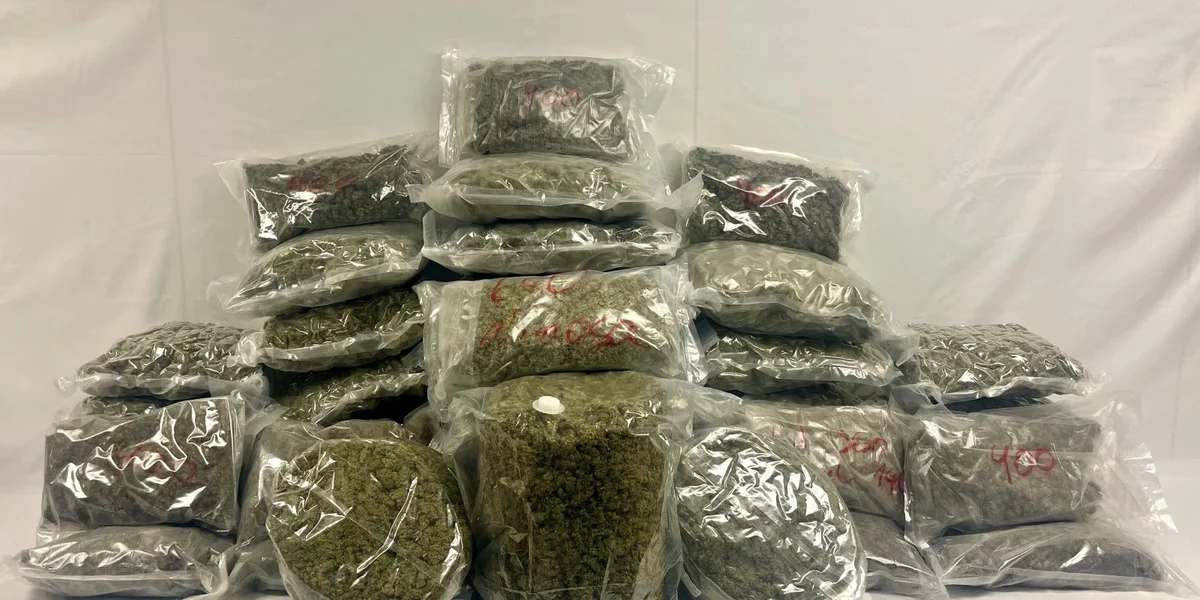 42 Kilo Marihuana goufe fonnt | © Zoll- und Verbrauchsteuerverwaltung