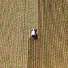 D'Oppositioun kritiséiert déi geplangte Regierungsmesuren am Beräich vun der Landwirtschaft